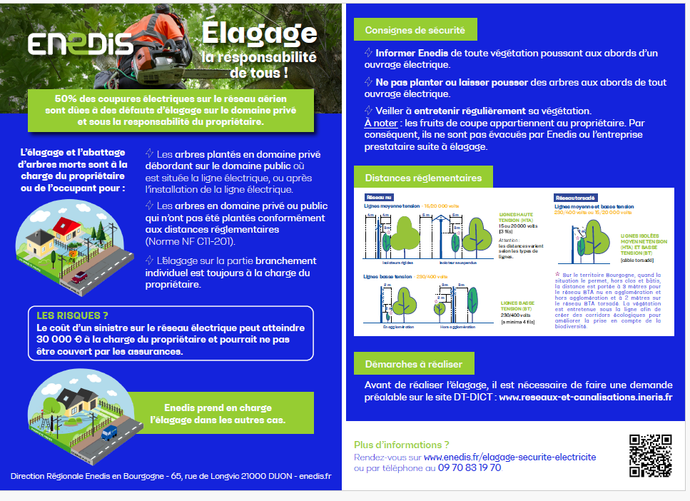 Flyer ENEDIS sur l'élagage